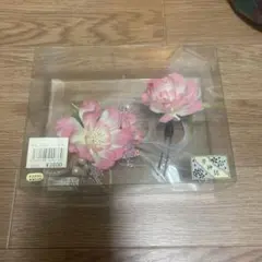 Item thumbnail for item 25e6cf41-5afa-454d-91c5-78370e5dcbd0