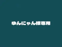 ゆんにゃん様専用