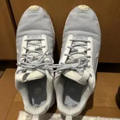 Item thumbnail for item e8e2917f-38a2-49ae-b257-fc87cb461f19