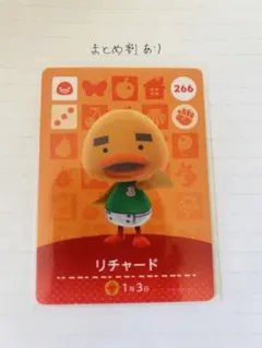 えちゅ様 リクエスト 2点 まとめ商品