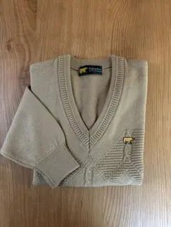 Item thumbnail for item 5e4119be-999f-466b-8ae7-53a7ccad7c87