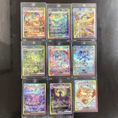 加*賀様 ポケモンカード テラスタルフェスex ブイズ SAR ゴットパック