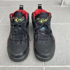 nike jordan flight 9