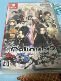 nintendo switch カリギュラ2