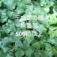 おかざき様 リクエスト 2点 まとめ商品