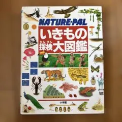 Item thumbnail for item f445b3c6-9689-4504-89da-9594975b8703