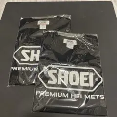 Item thumbnail for item 038dc45d-c6df-4a33-9b5c-f93be2a07333