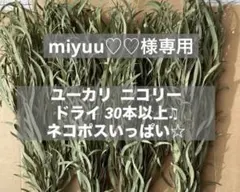 miyuu♡♡様専用