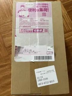 ポケモンカードゲーム スペシャルBOX ポケモンセンターヒロシマ