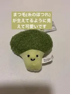 ブロッコリー　野菜　キーチェーン　キーホルダー　マスコット　ダイソー ラウール