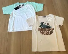 新品 Reebok 半袖Tシャツ 120cm キッズ 綿100% 2枚セット恐竜