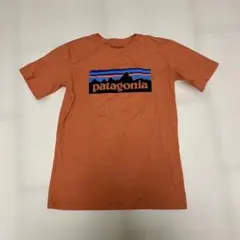 patagonia オーガニックコットン Tシャツ L