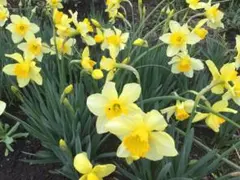 カズママ様 リクエスト 2点 まとめ商品