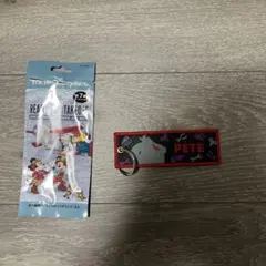 東京ディズニーシー　キーホルダー　フライトタグ　ピート