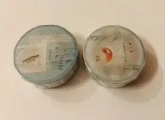 Item thumbnail for item 26f39e78-0c93-4f0f-8cf0-5b9dbb17c0d2