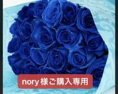 nory様のご購入専用