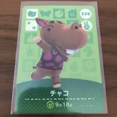 どうぶつの森　amiiboカード　チャコ