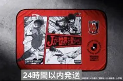 浦和レッズ　ブランケット