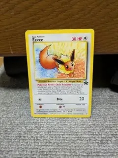 超希少 イーブイ 英語 Eevee JR東日本スタンプラリー2000 限定 超希少 イーブイ 英語 Eevee JR東日本スタンプラリー2000 限定