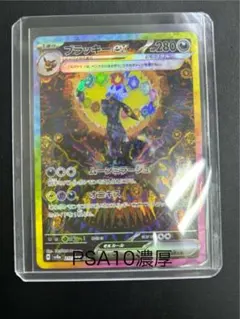 ブラッキーex SAR SV8a テラスタルフェスex 217/187