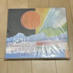 SEVENTEEN spill the feels 13枚 バインダー