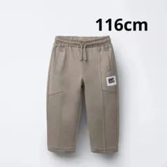 Item thumbnail for item 206bb8f3-238e-4d43-b1c1-3b8d3c066014