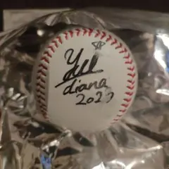 2025年最新】diana サインボールの人気アイテム - メルカリ