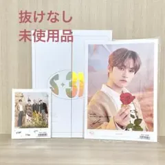 Stray Kids スキズ シーグリ2023 S-318 フォトカード リノ