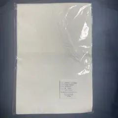 Item thumbnail for item b1d3cf0c-4018-4027-8e65-a190934afbeb