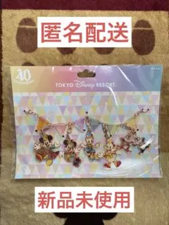 東京ディズニーリゾート40周年　チャームセット✨
