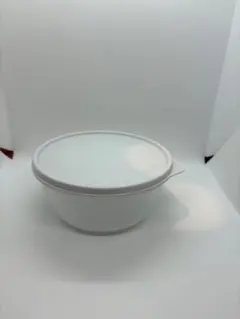 Item thumbnail for item 3048a2e3-2609-4c25-b42e-f5c749928dea