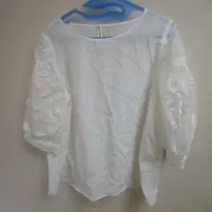 Item thumbnail for item 9043da38-8b3d-4f70-8ae3-427aedb9b3fe