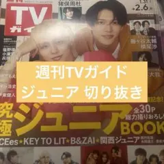 週刊TVガイド 雑誌切り抜き (⚠︎説明欄必読)