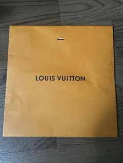 LOUIS VUITTON ショップ袋 オレンジ