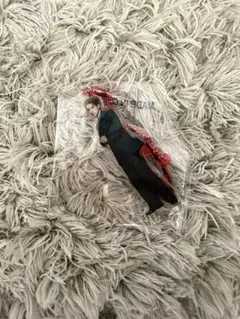 TAKUMI ミニアクスタのサムネイル
