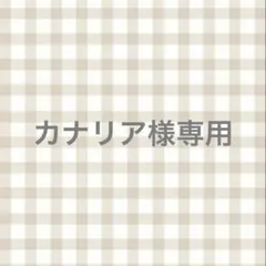 straykids SKZOO 10cmぬい用コスチューム