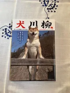 Item thumbnail for item 29b7f199-2dfc-4876-8683-56acb14208aa