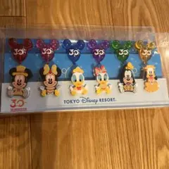東京ディズニーリゾート　クリップセット
