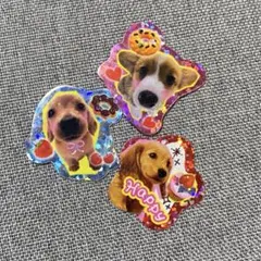 平成レトロ フレークシール 実写犬 ホログラム　キラキラ 犬 3枚