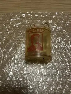 ラプンツェル　 ランタンキーチェーン　フリン　ディズニー　ガチャ　シークレット