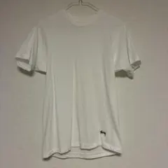 STUSSY × Hanes コラボ　Tシャツ ホワイト Sサイズのサムネイル