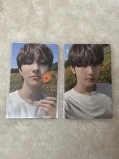 enhypen ジョンウォン　トレカ　セット　orangeblood