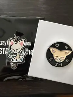 スキズ フォクシニー　アイエン　exhibition ピンバッジ