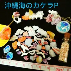 琉球　海のカケラ　セット　P