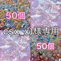 csx_x)様専用