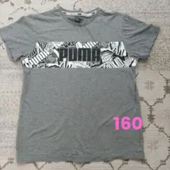 PUMA グレー Tシャツ 160