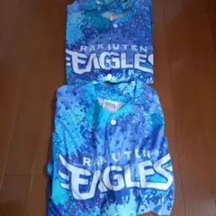 Item thumbnail for item 1c9b232c-3851-47b2-ad5f-ed7b1b8195ed