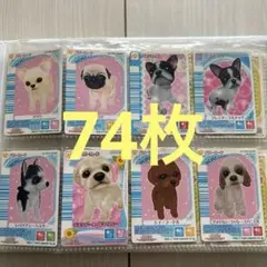 ワンタメ　トレーディングカード　74枚