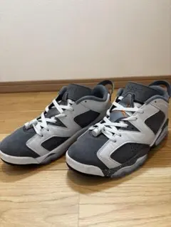 希少レア　Nike JORDAN ジョーダン6 ロー パリサンジェルマン PSG