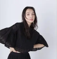【新品タグ付き】NATURAL BEAUTY BASIC リーフレース ブラウス